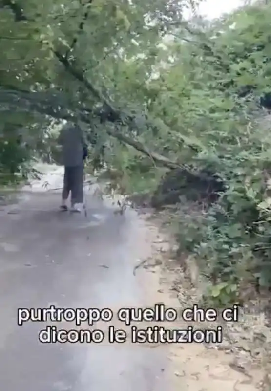 il video appello dei cittadini di fontanelice   bologna  6