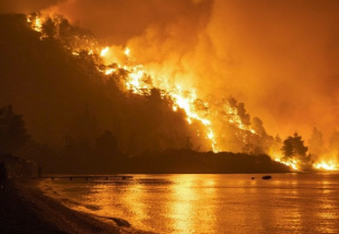 incendi in grecia 1