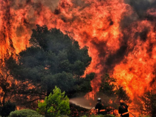 incendi in grecia 2