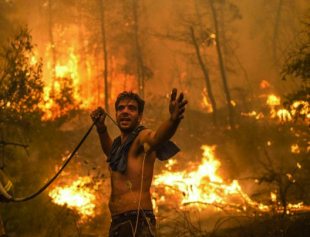 incendi in grecia 3