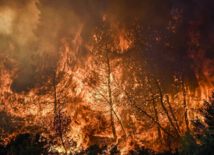 incendi in grecia 4