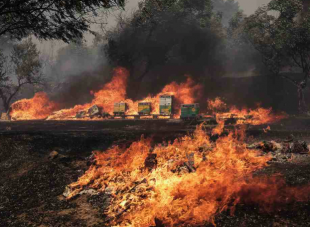 incendi in grecia 5