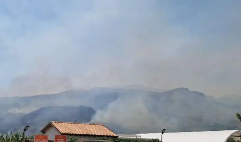 incendi in sicilia 4