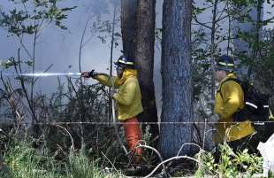 incendio alle isole hawaii 10