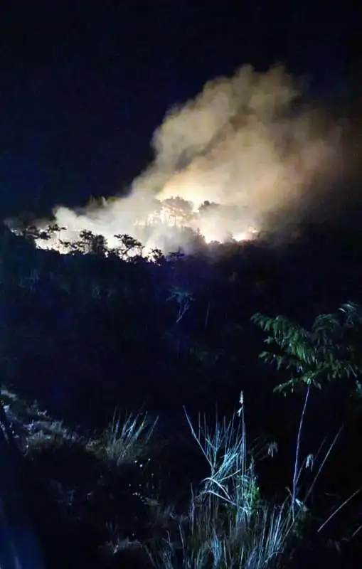 incendio isola d elba   2