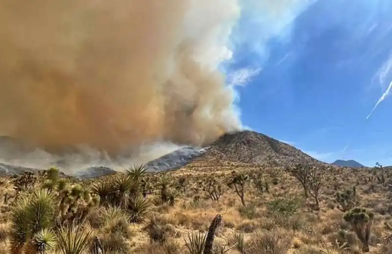 incendio tra california e nevada 3