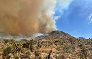 incendio tra california e nevada 3