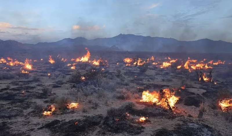 incendio tra california e nevada 4