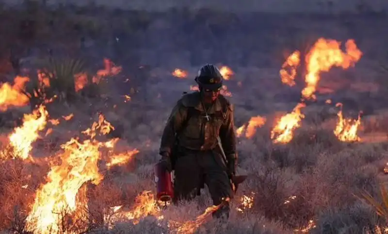 incendio tra california e nevada 6