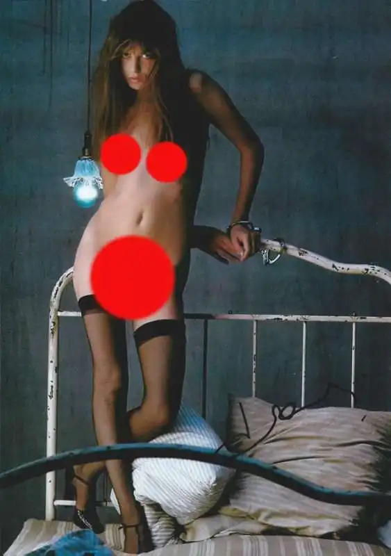 jane birkin playboy