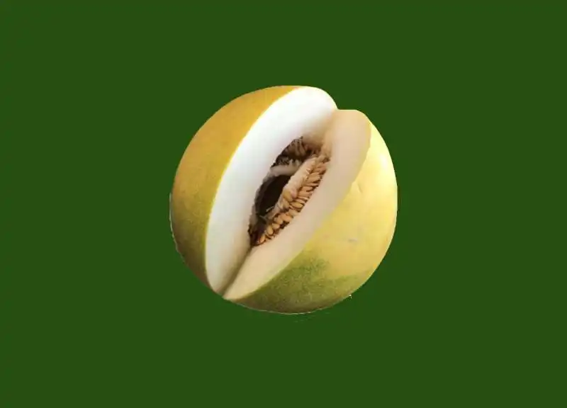 LIMELON 