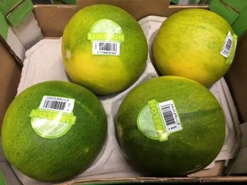 LIMELON