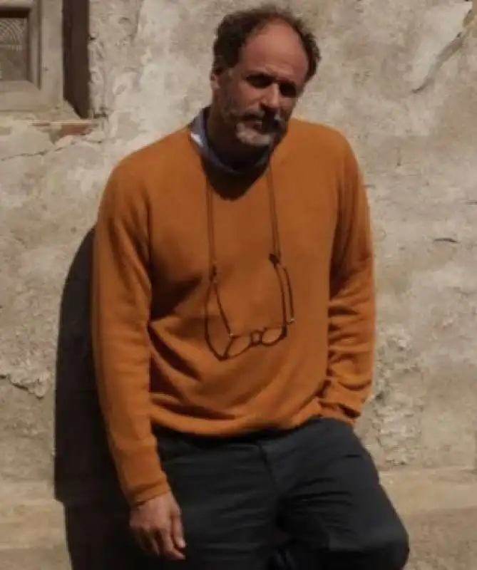 luca guadagnino 