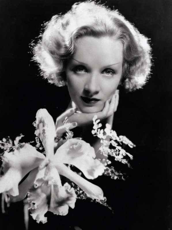 marlene dietrich by cecil beaton