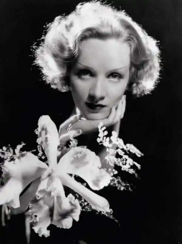  marlene dietrich by cecil beaton