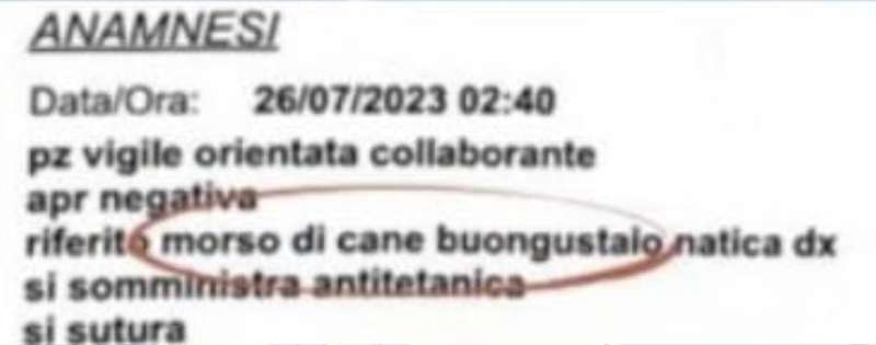 MORSO DI CANE BUONGUSTAIO - IL REFERTO DI UN MEDICO DI LECCO