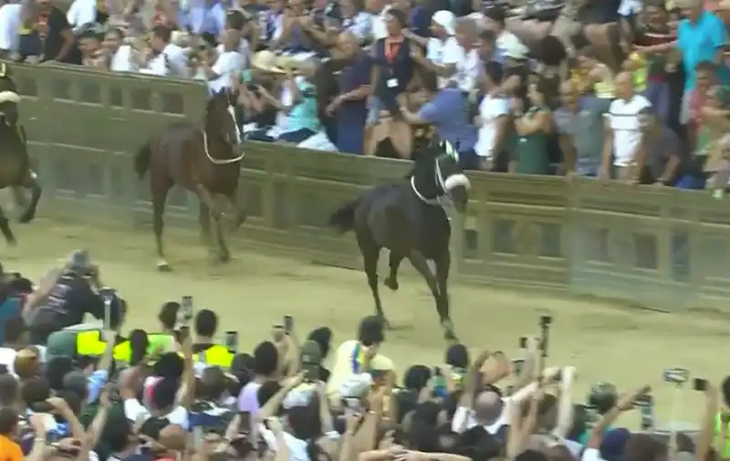 palio di siena 2023 1