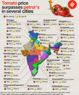 pomodori in india 4