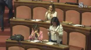 senato, dolores bevilacqua ride mentre parla vincenza aloisio