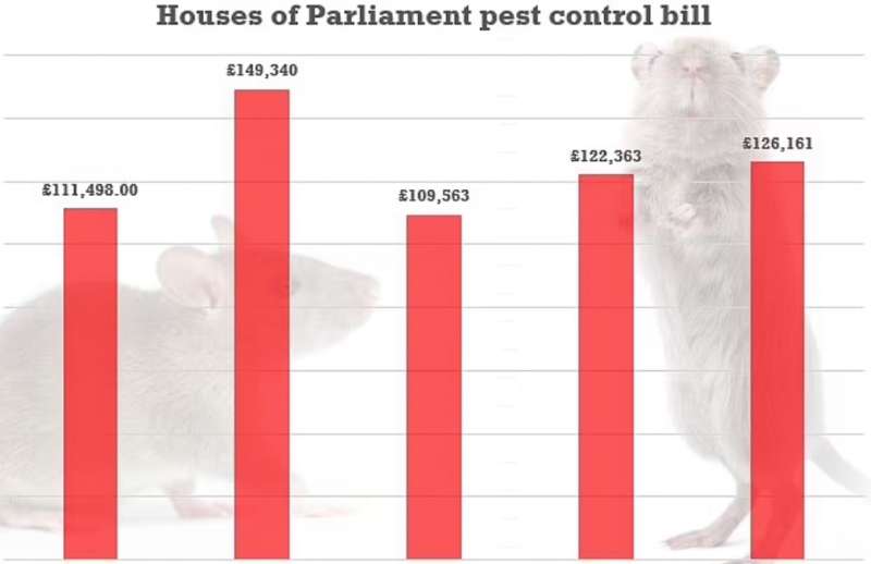 SPESA PER CACCIARE TOPI E ALTRI PARASSITI A WESTMINSTER