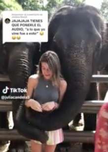 studentessa spagnola bloccata da un elefante in thailandia 1