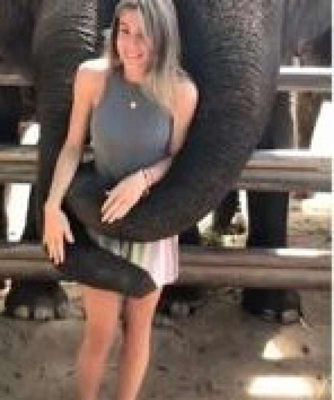 studentessa spagnola bloccata da un elefante in thailandia