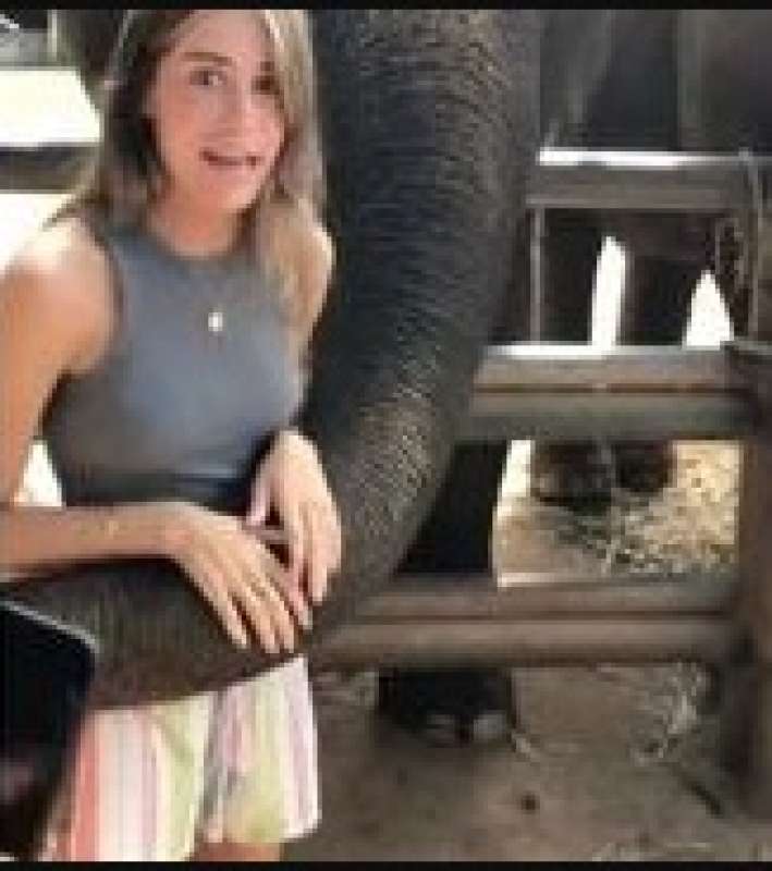 studentessa spagnola bloccata da un elefante in thailandia 3