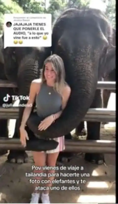 studentessa spagnola bloccata da un elefante in thailandia 4