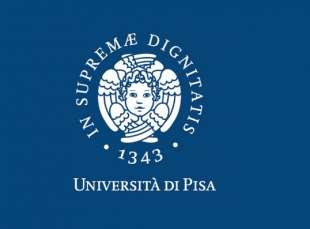 UNIVERSITA PISA