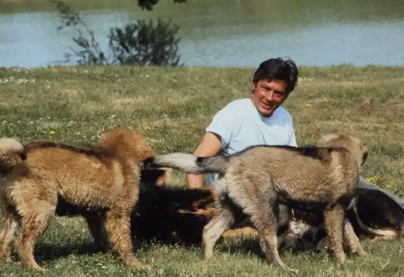 alain delon e i cani 3