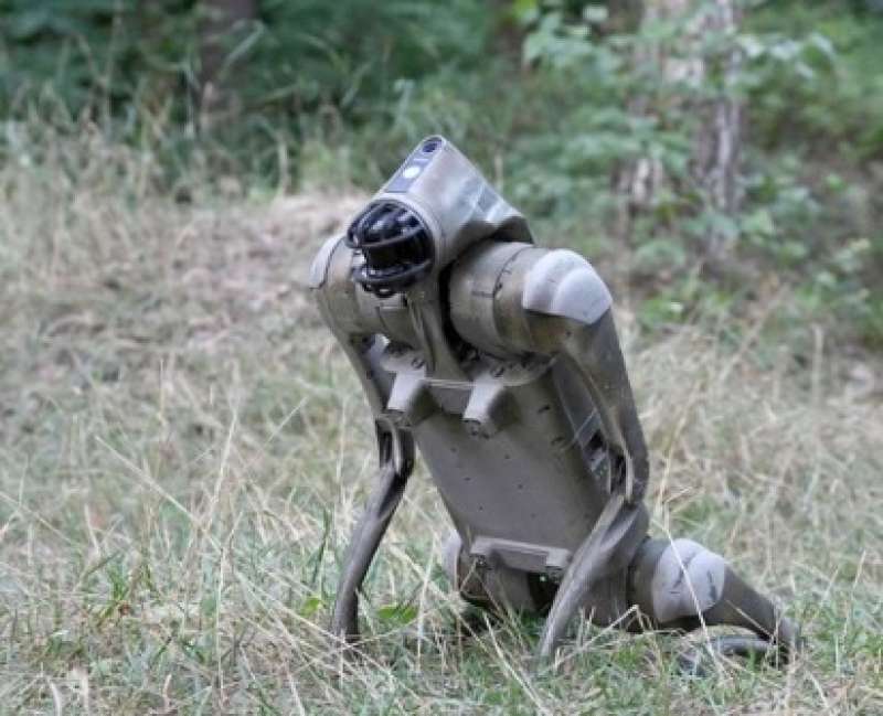 CANI ROBOT UTILIZZATI DELL ESERCITO UCRAINO