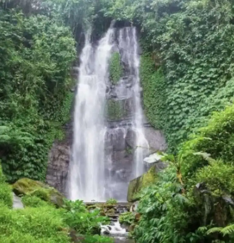 cascate gajah mas   bali   indonesia