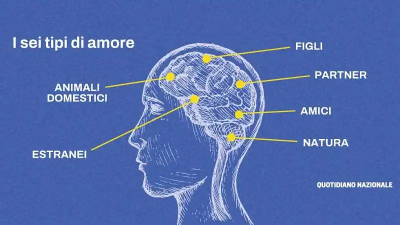 CERVELLO E I DIVERSI TIPI DI AMORE