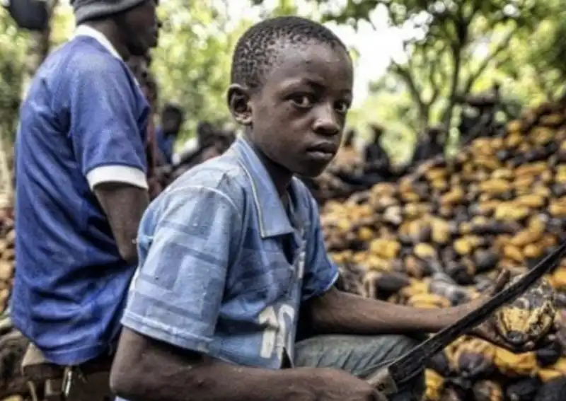 coltivatori di cacao in africa 1