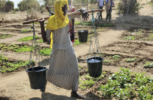 coltivatori di cacao in africa 4