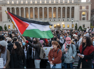 COLUMBIA UNIVERSITY DI NEW YORK - MANIFESTAZIONI PRO PALESTINA