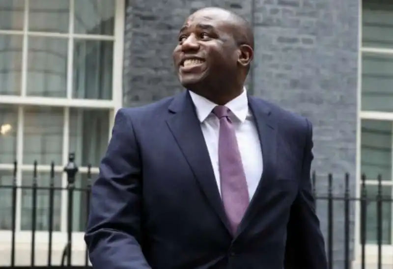 DAVID LAMMY