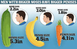 dimensioni del pene correlate a quelle del naso