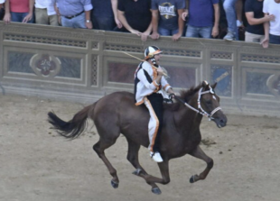 Dino Pes detto Velluto vince il palio di siena con la lupa