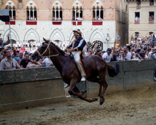 Dino Pes detto Velluto vince il palio di siena con la lupa