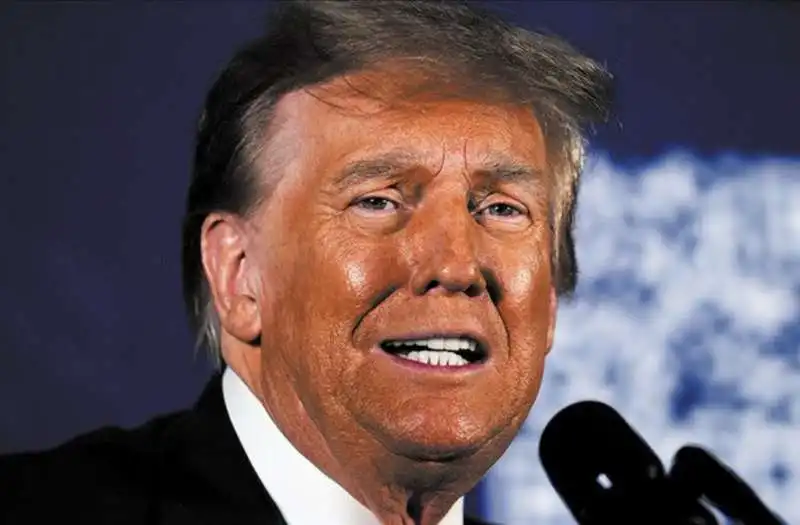 DONALD TRUMP CERONE