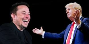 ELON MUSK DONALD TRUMP