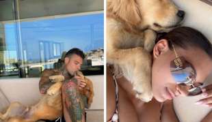 fedez