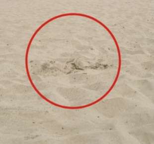 gli effetti del fulmine sulla spiaggia di alba adriatica