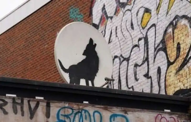 il lupo di banksy rubato a londra 1