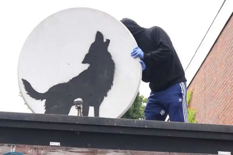 il lupo di banksy rubato a londra 8