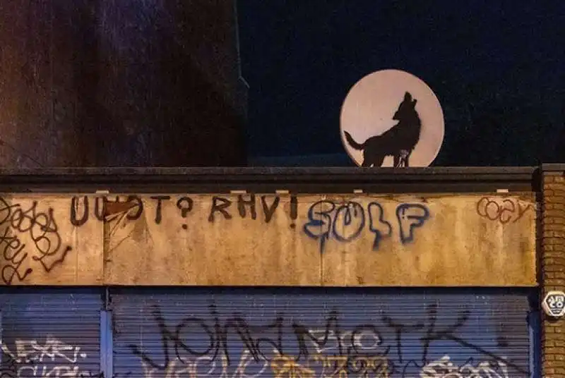 il lupo di banksy rubato a londra 9