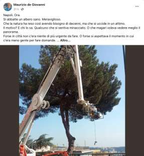 IL POST DI MAURIZIO DE GIOVANNI PER L'ABBATTIMENTO DI UN ALBERO A NAPOLI