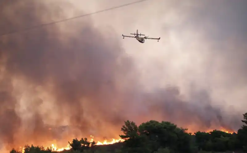 incendi in grecia 15