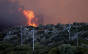 incendi in grecia 4